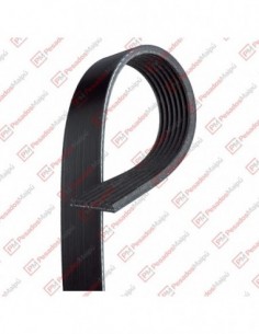 Correa Poli V 7pk1515 Dayco