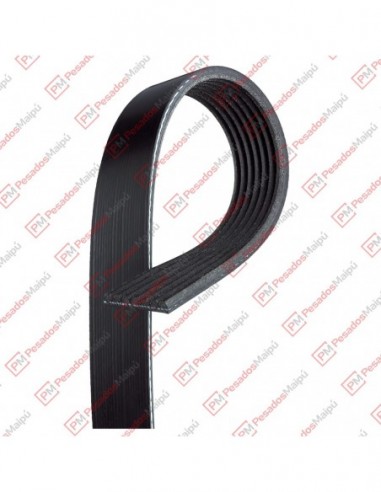 Correa Poli V 7pk1515 Dayco