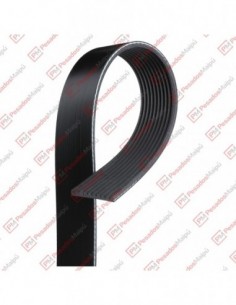 Correa Poli V 10pk1545 Dayco 2