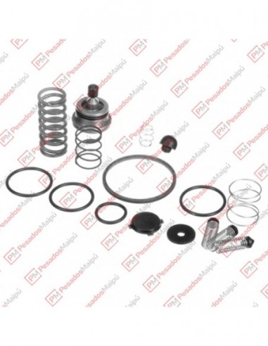 Reparacion Valvula Control Sr-5 (r 7960)