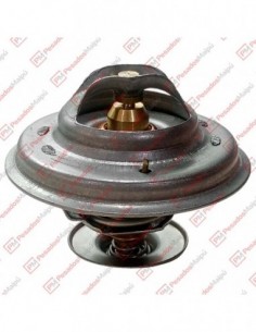 Termostato 6246 79 Motor...