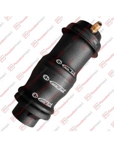 Fuelle Suspension Cabina Sc...