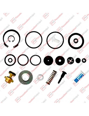 Reparacion 1610 Secador Aire Wabco...