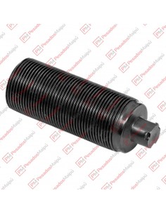 Tornillo Registro Calip...
