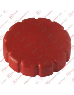 Tapa Tanque Agua Mb Atego...