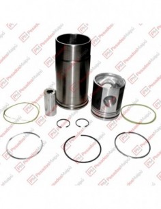 Conjunto Motor Sc 113...