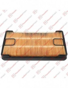 Filtro Aire Sc Serie 6...