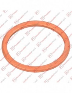 Oring Vaciado Aceite Iveco...