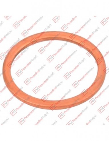 Oring Vaciado Aceite Iveco Eurotech...