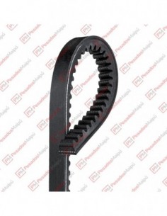 Correa 10a1200 Dayco