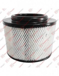 Filtro Aire (ca10112)...