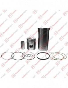 Conjunto Motor Sc 113... 2