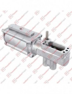 Servo Shift Caja Zf 9s-1010... 2
