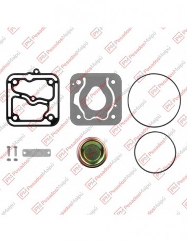 Kit Reparacion Compresor W85 M/n...
