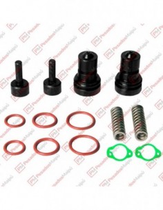 Kit Reparacion Alivio...