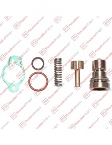 Kit Reparacion Compresor Knorr 80...
