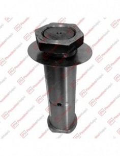 Perno Balancin 58x180 C/t