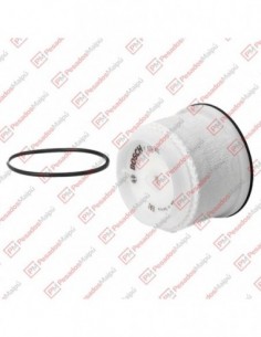 Filtro Combustible (c10353)...