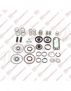 Reparacion Servo Shift Zf...