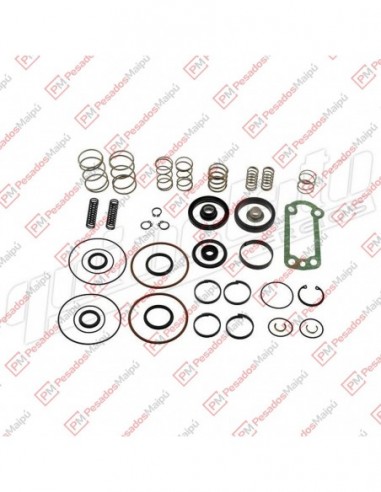 Reparacion Servo Shift Zf (28233) Vw...
