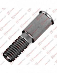 Tornillo Reten Puerta...