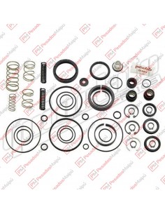 Reparacion Servo Shift Zf...