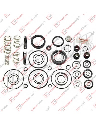 Reparacion Servo Shift Zf (28231)...