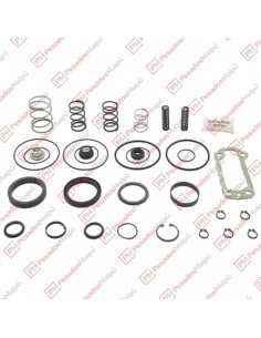 Reparacion Servo Shift Zf...
