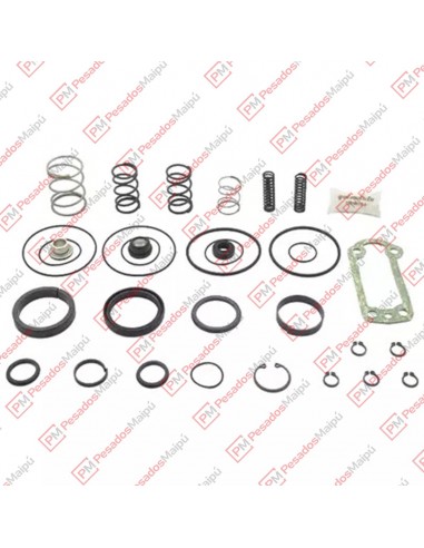 Reparacion Servo Shift Zf Vw...