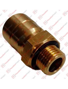 Conector Recto Macho Mm...