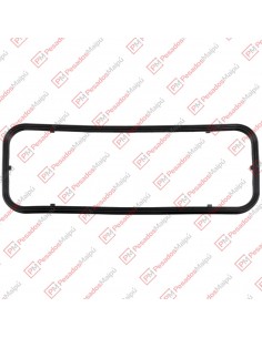 Junta Carter (51240) Iveco...