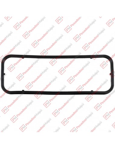 Junta Carter (51240) Iveco Cursor 8...