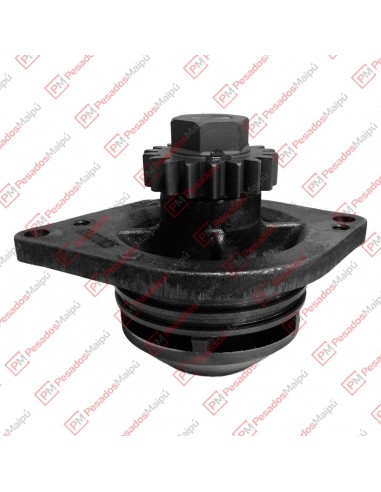 Bomba Agua Mwm 4/6.12 Electronico (ba...