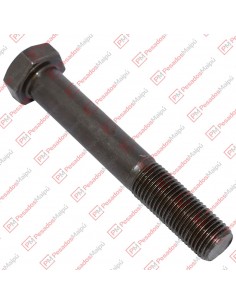 Bulon Porta Corona M14 X...