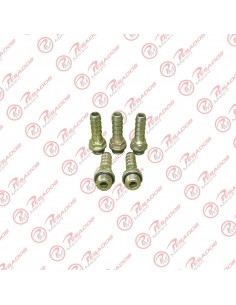 Conector Recto 16x1.5 (2439)