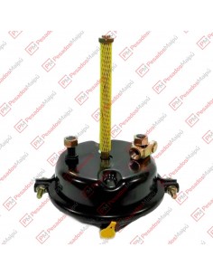 Pulmon Simple 12  M-16...