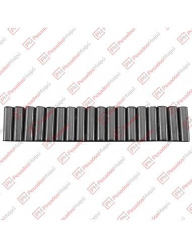 Rodillos Caja Mb 302 5.54 X 19.05 (18...