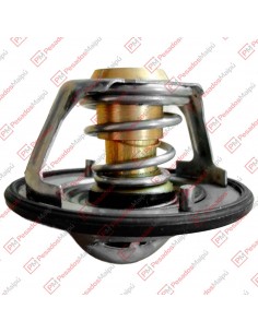 Termostato 7130 82 Ford...