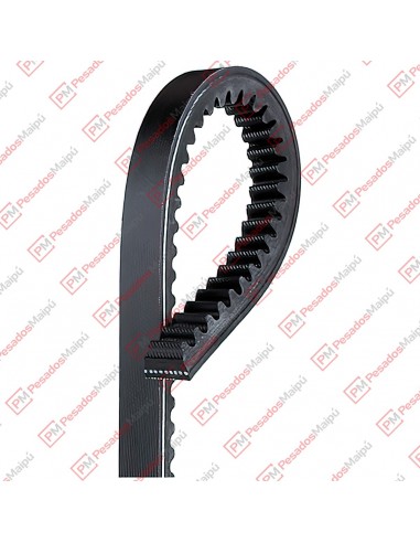 Correa 13a1750 Dayco
