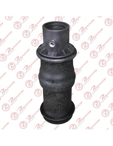 Fuelle Suspension Cabina T113 Trasero...