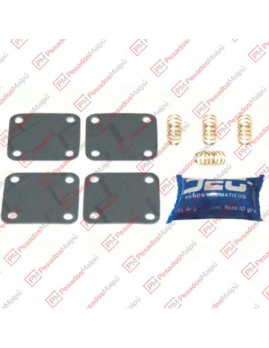 Reparacion 1141 Protectora 4...