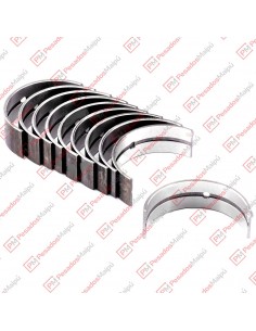 Cojinete Bancada 0.10 Iveco...