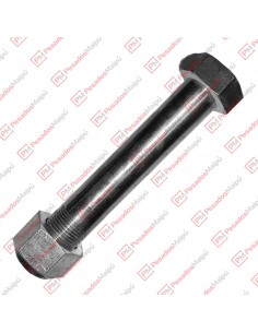 Perno Balancin Ast-pra (b29ba)