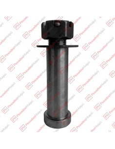 Perno Lanza 38 X 110 C/t