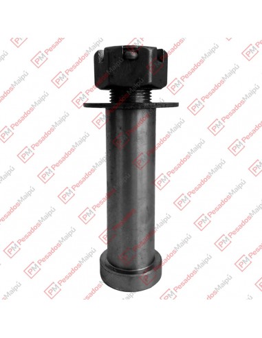 Perno Lanza 38 X 110 C/t