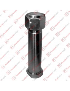 Perno Lanza 38 X 120 C/t