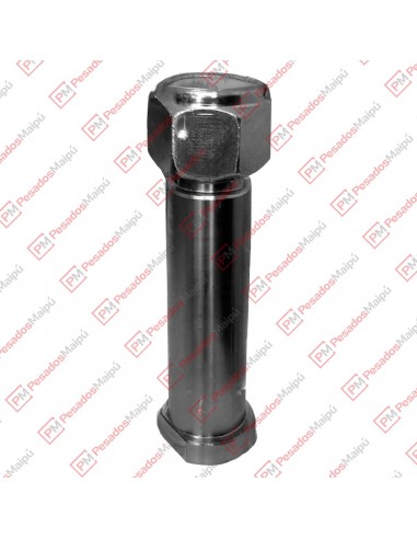 Perno Lanza 38 X 120 C/t