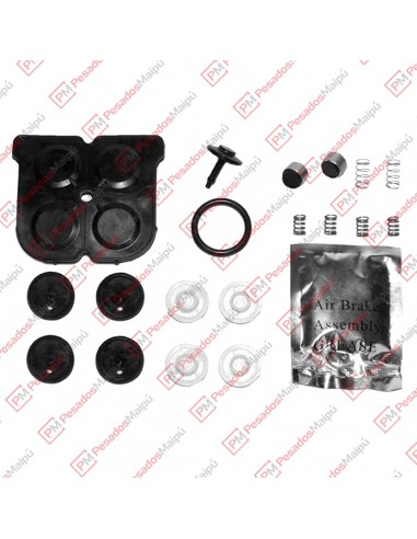 Reparacion 5139 Protectora 4...
