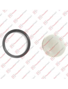 Reparacion 2157 Transferencia Dos Vias Knorr (dg 2157)(ii35221)