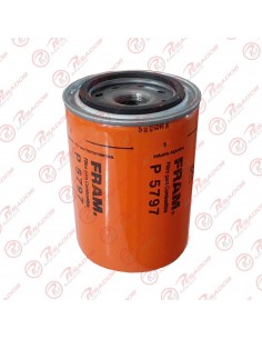Filtro Combustible (p5797)...